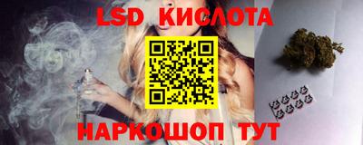 меф Кингисепп