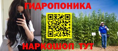 скорость Камышлов