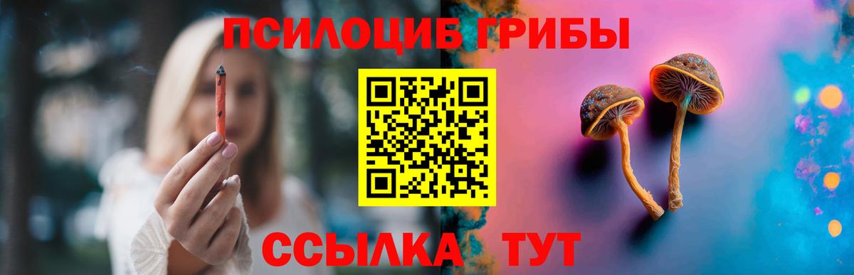 Псилоцибиновые грибы Cubensis Кисловодск